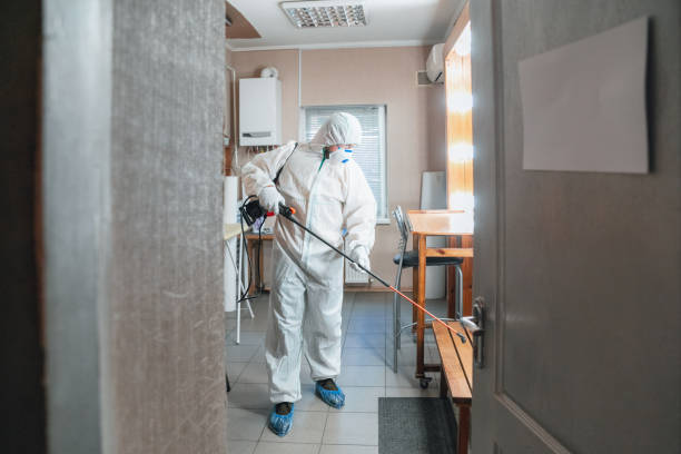 Best Industrial Mold Remediation  in Philomath, OR