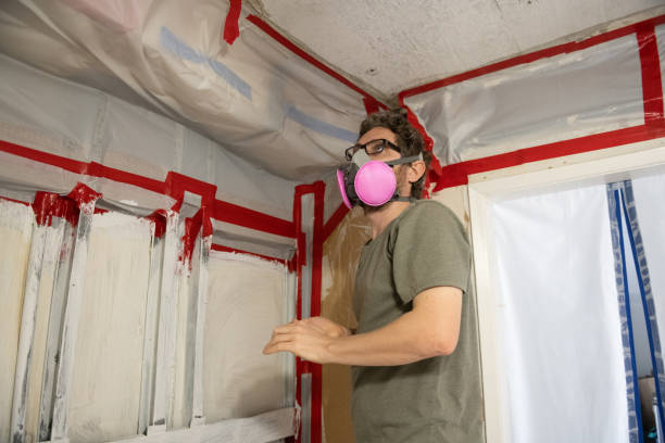 Best Post-Construction Mold Inspection  in Philomath, OR